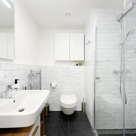 Real Living By Refa Karlin 406 * Praha